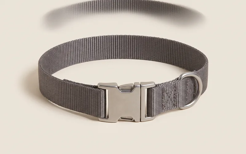Le collier plat : à qui il convient